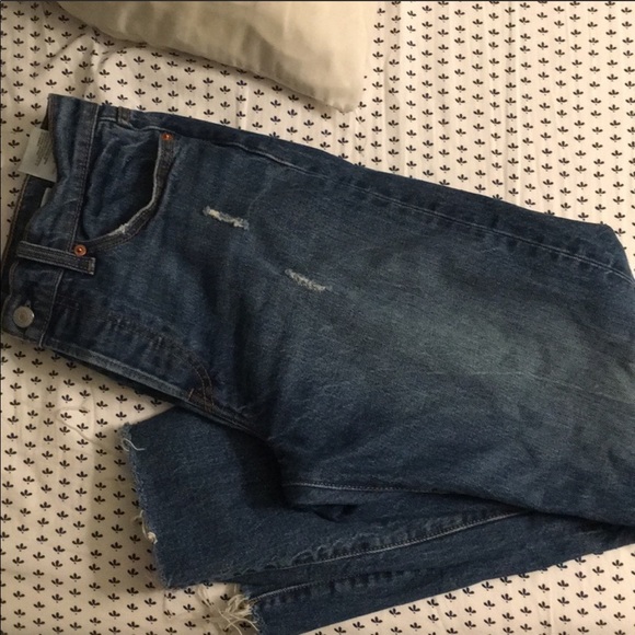 Levi’s wedgie straight in lasting impression - Picture 3 of 5